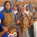 A ‘Revolution’ under Attack – the Alternative in midst the War in Syria